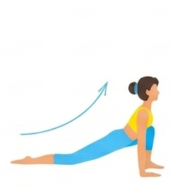 Ashwa Sanchalanasana icon