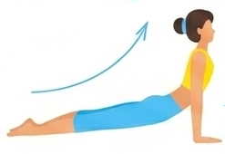 Bhujangasana icon