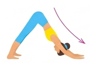 Adho Mukha Svanasana icon