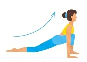 Ashwa Sanchalanasana switch icon